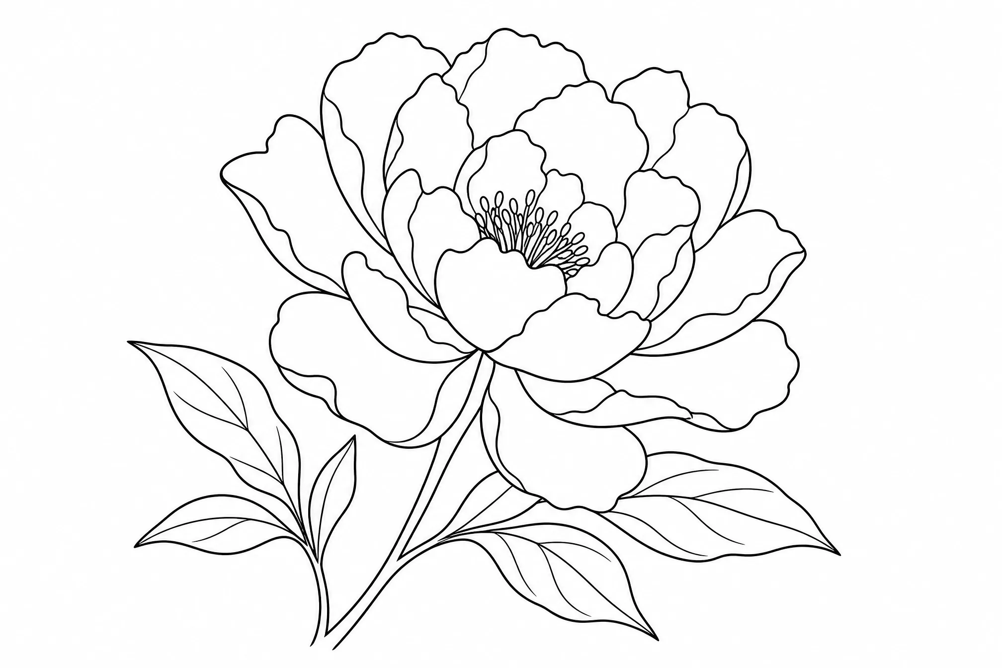 An image converted into a clean black-and-white line drawing