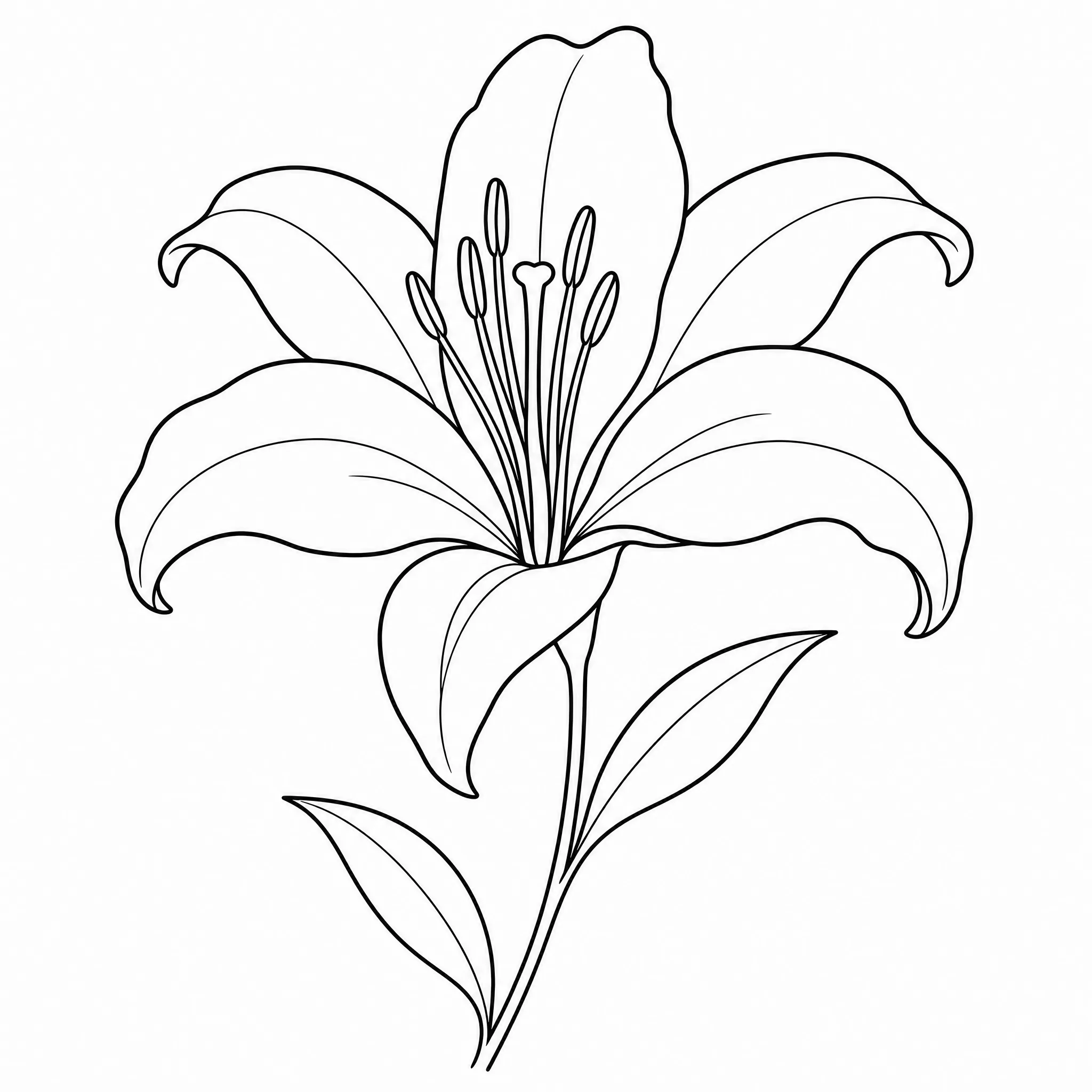 A flower photo converted into a fine line drawing