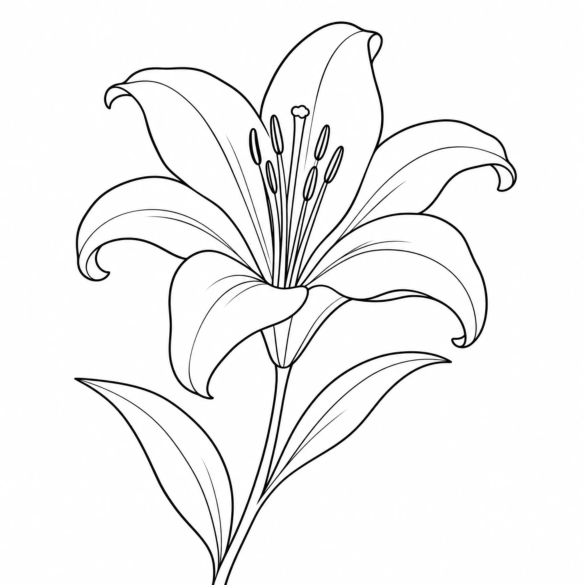 A flower photo turned into a fine line drawing